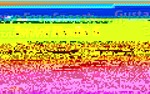 Photo gallery image named: yakgraphic.jpg