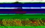 Photo gallery image named: brent2.jpg
