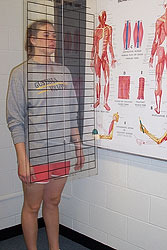 Postural Analysis