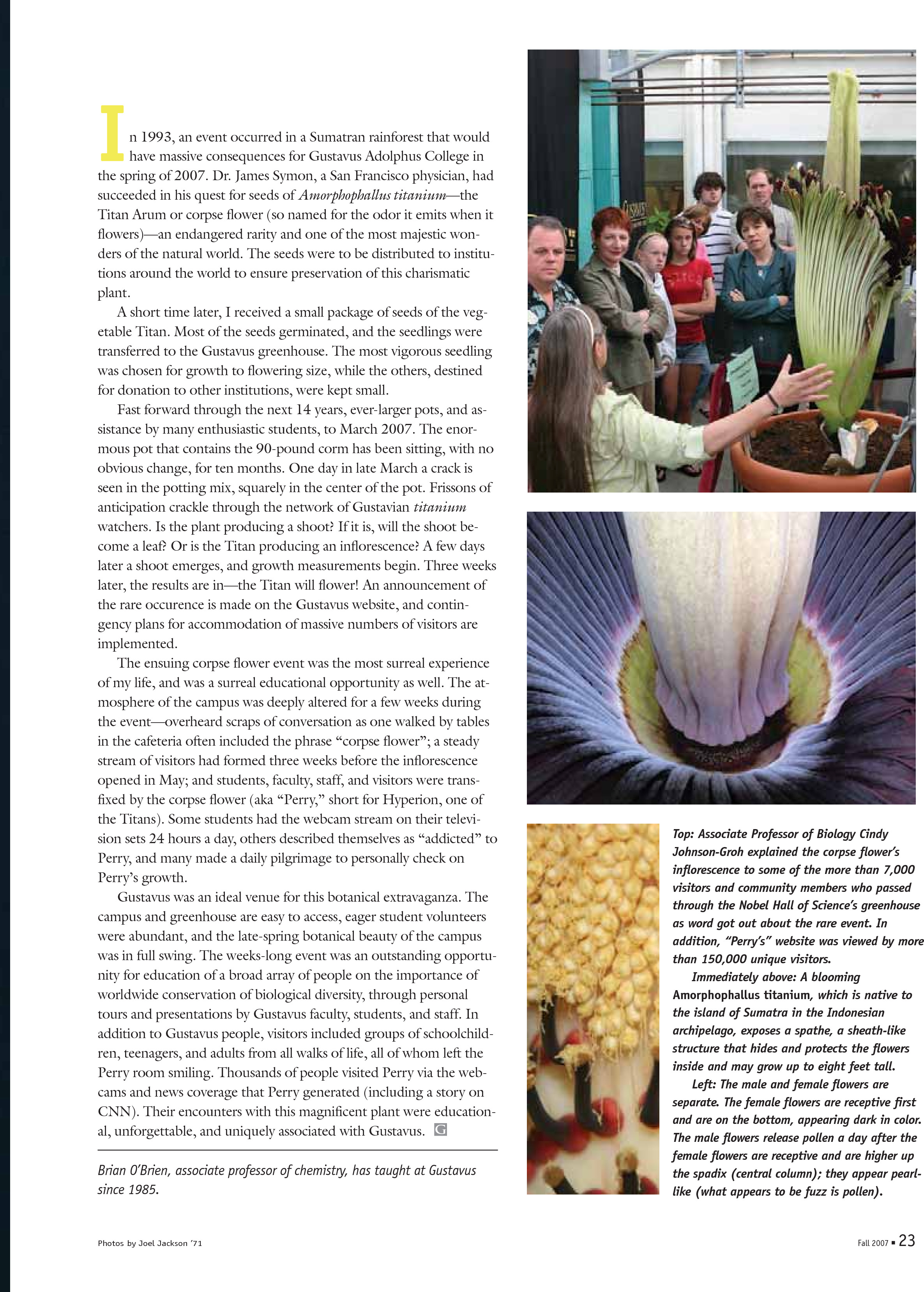 quarterly page