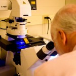 Professor Lammert using the Zeiss Confocal Microscope